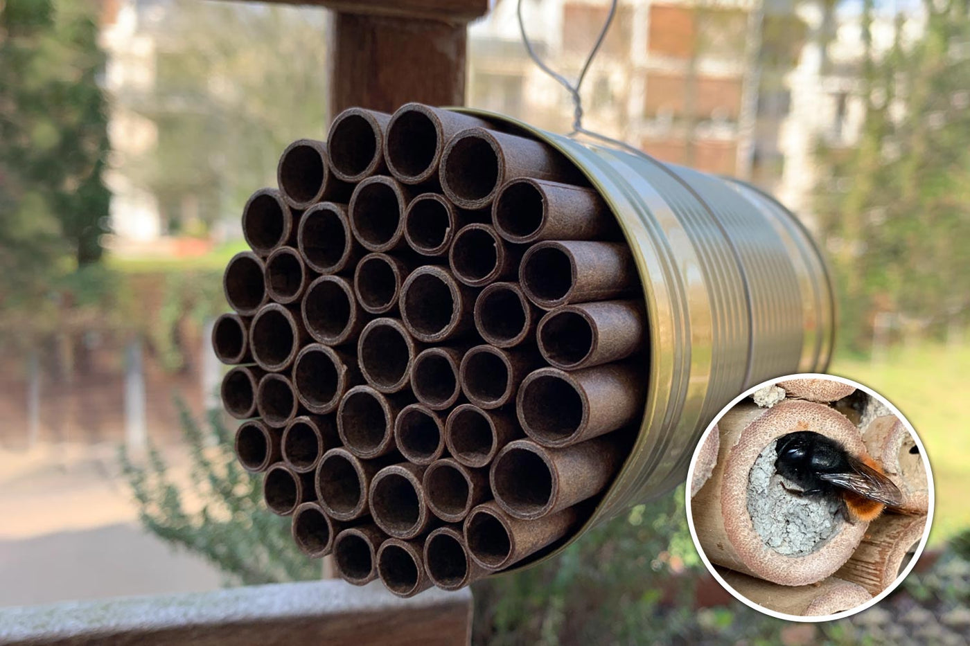 DIY-Idee mit Kindern - Bienenhotel selber bauen