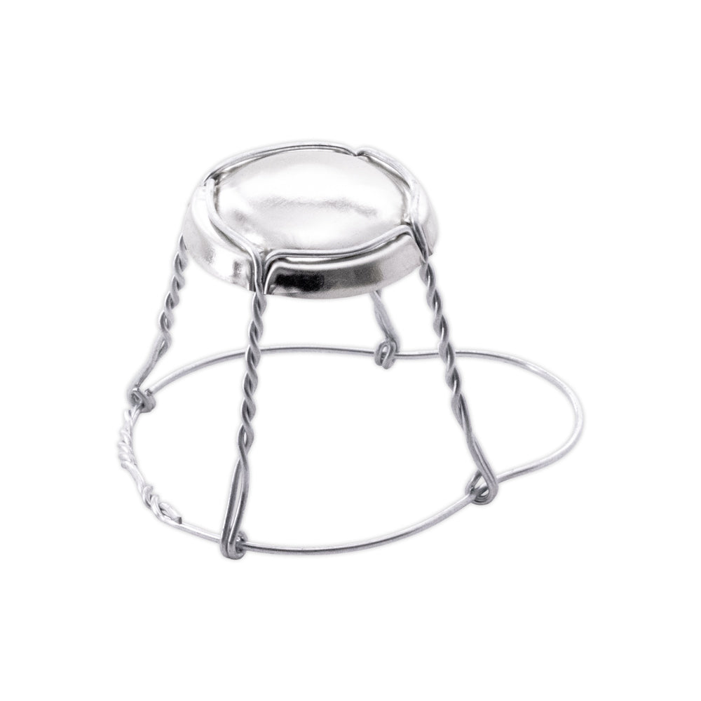 Agraffe Silber