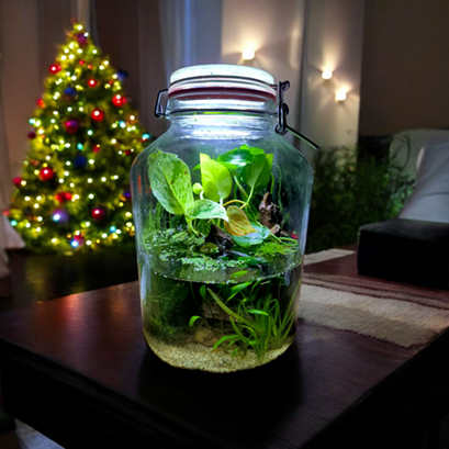 Minkissy Mini Aquarium Flasche 2 Stück - Glas Landschaftsbau Mit Beleuchtung